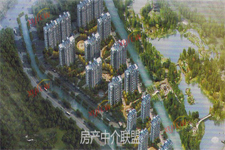 亏本卖华商旁花园洋房赠送超大有车库不潮湿